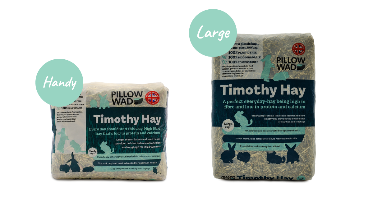 Timothy Hay | Buy Premium Pet Feed & Bedding | Pillow Wad