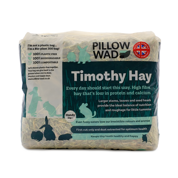 Timothy Hay - Handy