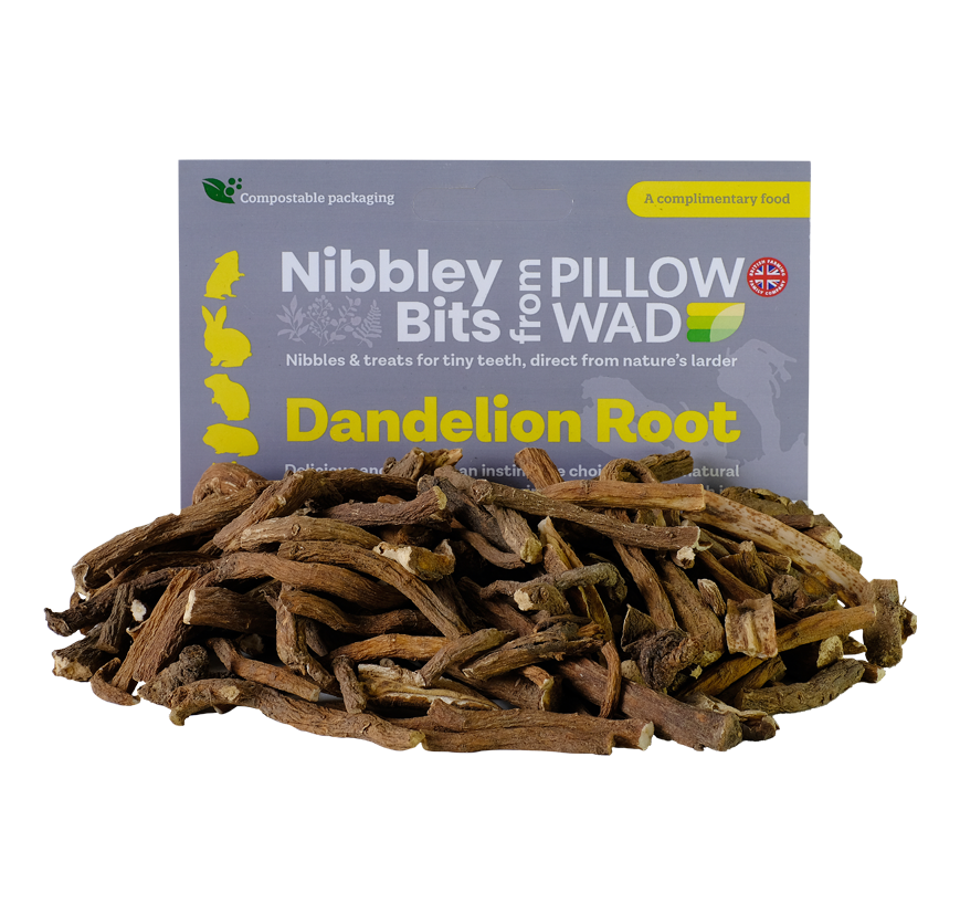 Dandelion Root from Pillow Wad - Natural, Healthy Treat for Small Pets’ Dental Health and Digestion