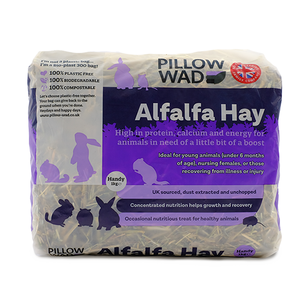 alfalfa
