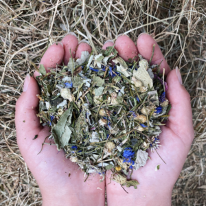 Assortment of dried herbs including parsley, cornflowers, and chamomile in the Herb Garden blend from Pillow Wad's Nibbley Bits range.