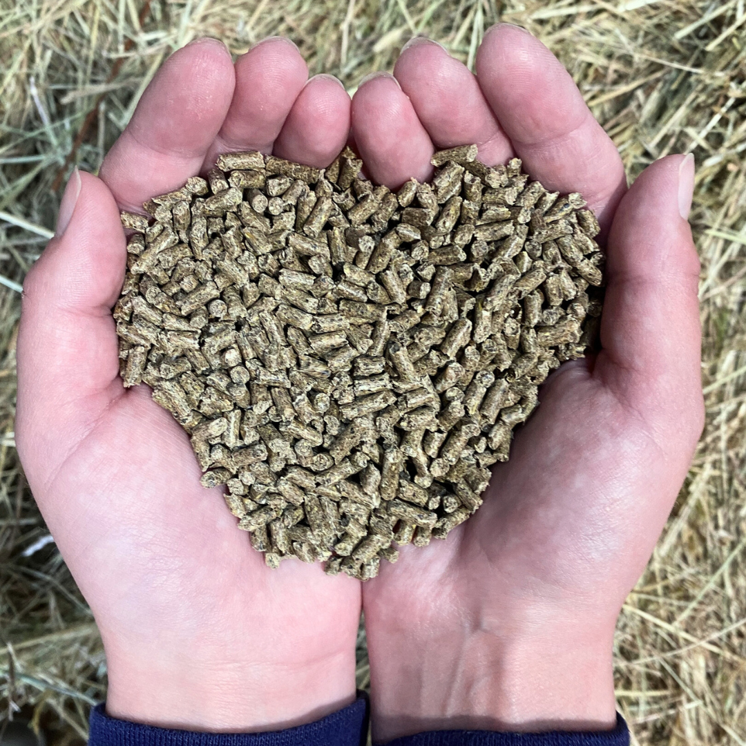 Pillow Wad Rabbit and Guinea Pig Pellets rich in fibre and essential vitamins