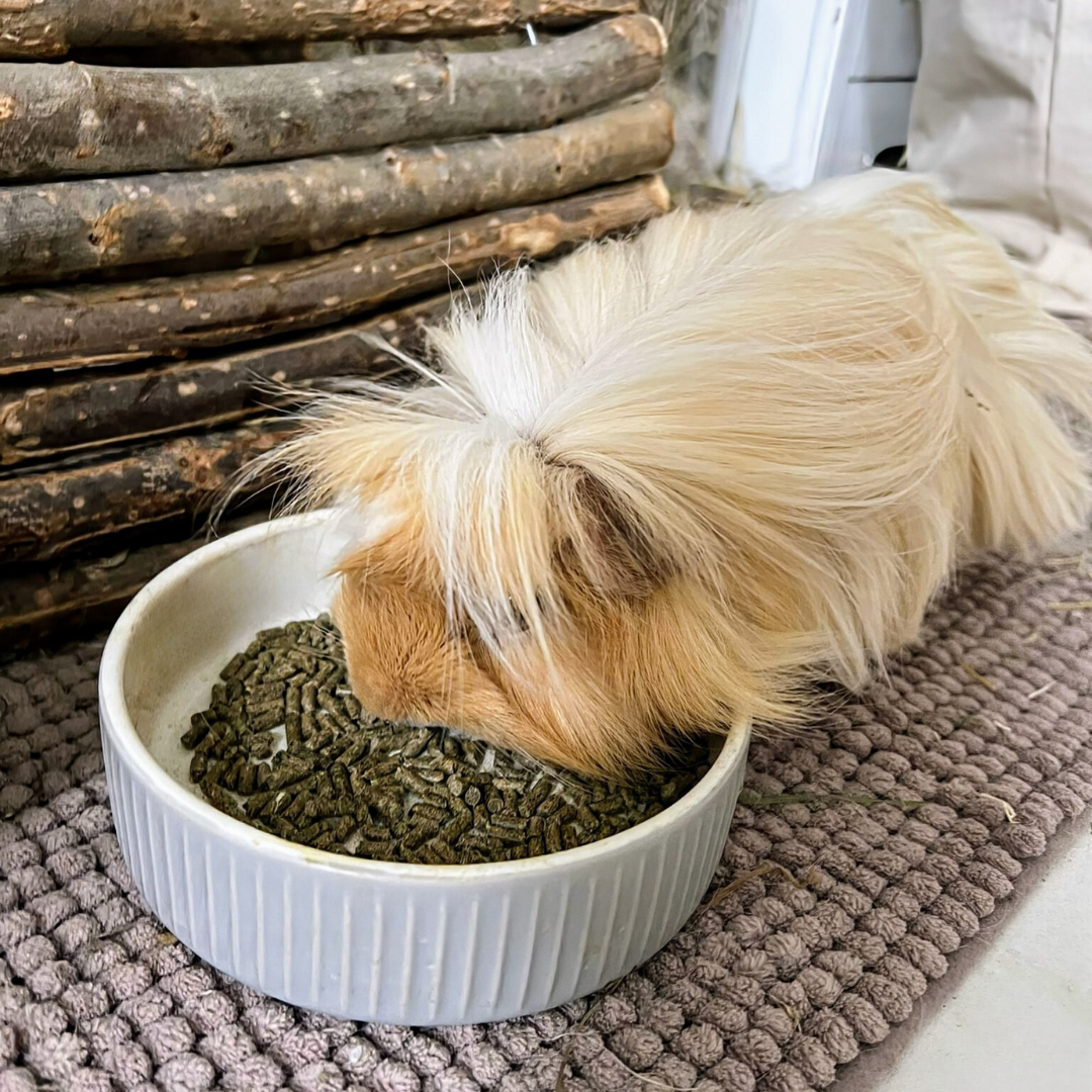 Pillow Wad Rabbit and Guinea Pig Pellets rich in fibre and essential vitamins