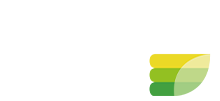 Pillow Wad