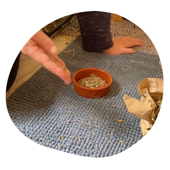 Scatter Feeding