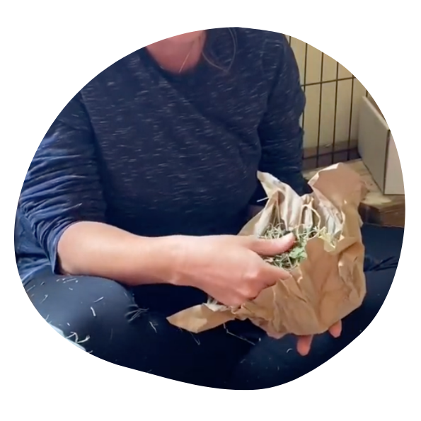 Packaging Paper Play