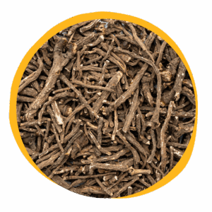 Dandelion Root