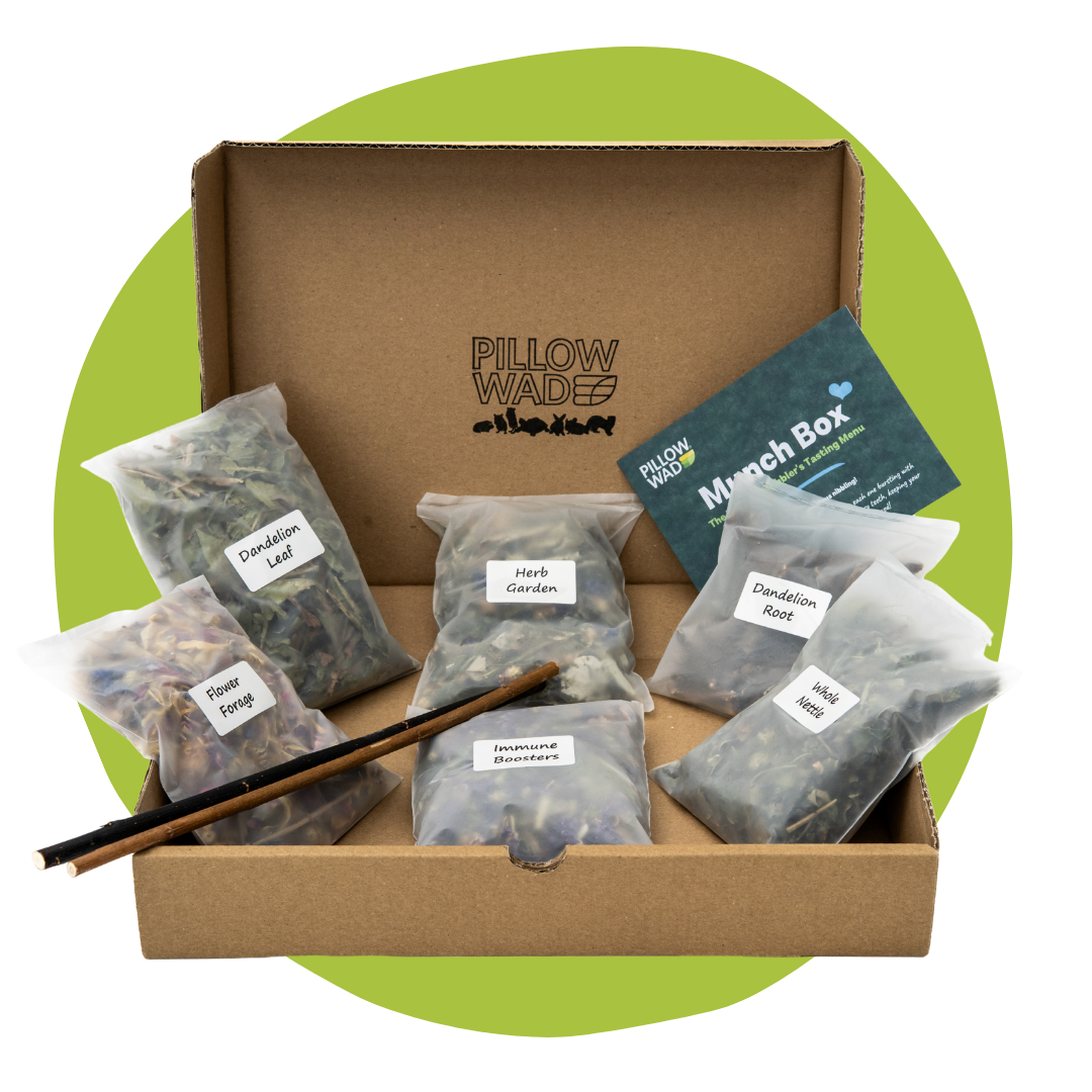 Forage Selection Box