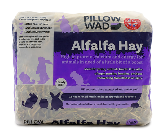 Alfalfa Hay