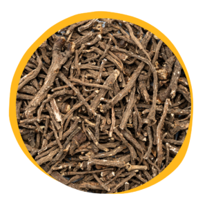 Dandelion Root