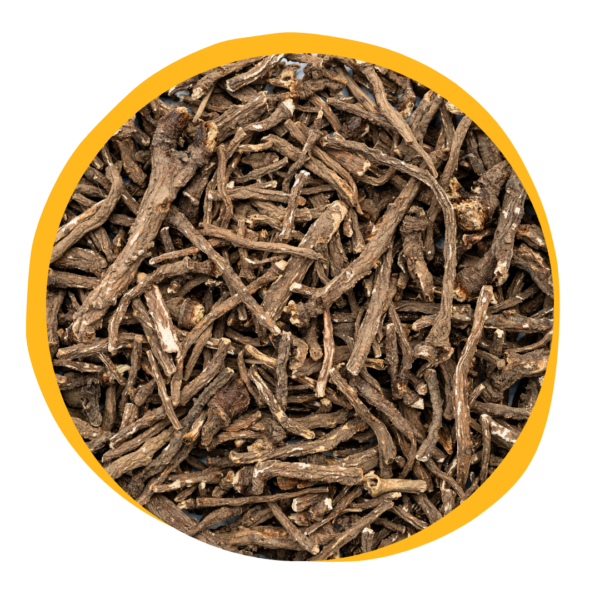 Dandelion Root