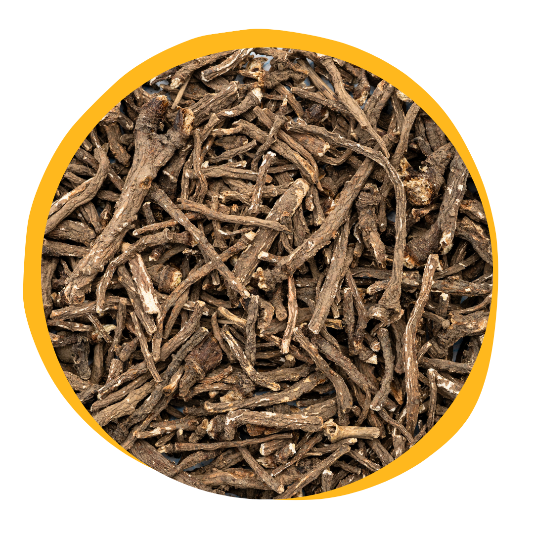 Dandelion Root