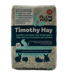 Timothy Hay