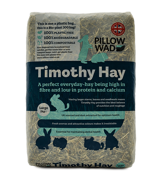 Timothy Hay
