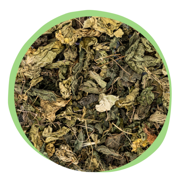 Whole Nettle