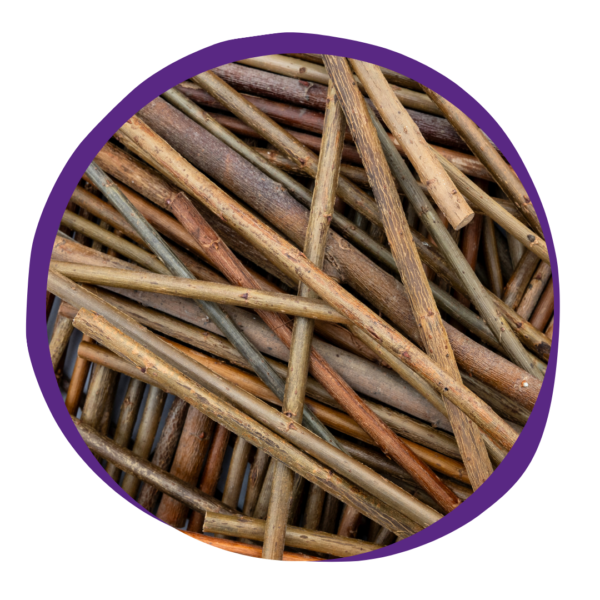 Willow Sticks